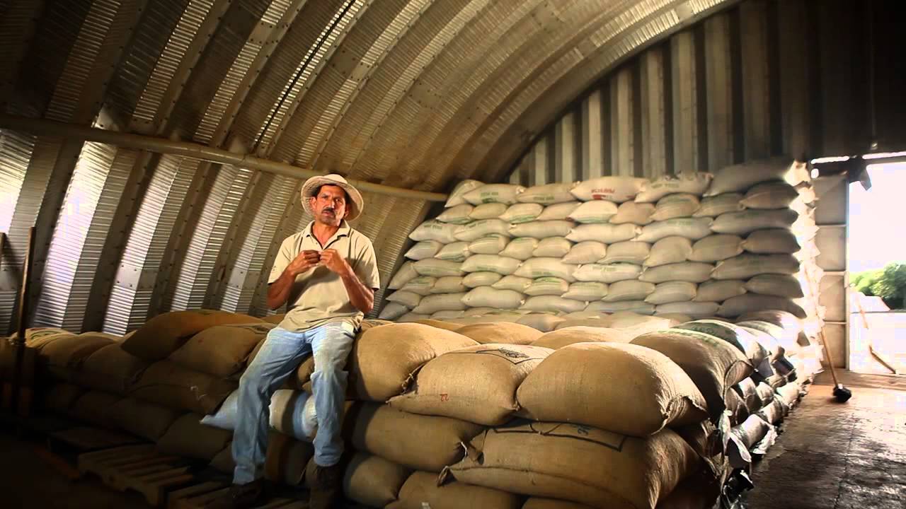 Documental Café de Costa Rica. Los rostros, los paisajes, la historia - 2014