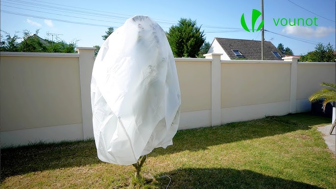 COMMENT PROTÉGER LES PLANTES DU FROID AVEC UN VOILE D'HIVERNAGE PRATIQUE 