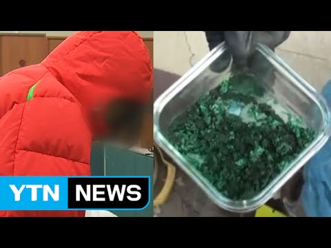 음식에 제초제 섞어 가족 3명 살해 / YTN