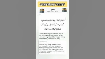 সূরা মুহাম্মদ -আয়াত নং ২ - محمد  কোরআন সুন্নাহর আলো - آيات القرآن - কোরআন তেলাওয়াত Surah Muhammad