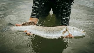 How to Specifically Target Gator Speckled Trout (Gator Speckled Trout Fishing Tactics)