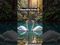Latest Viral birds Short #birds #wildlife #shorts #birdfacts #nature #viral