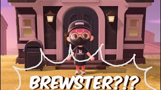 🔴Getting Ready For Brewster!! (Q/A Time)
