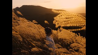 Young Coco - 不完全態