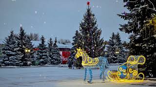 Счастливого Нового года и Рождества! ❄🎄