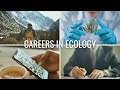 The 4 Types of Careers in Ecology // Careers in Biology and Environmental Science