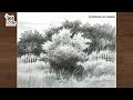 How to draw and shading bushes and trees with very easy pencil strokes  simple method pencil art