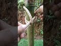 simple knot trick#knot #rope #a #diy #camping #outdoor #tutorial