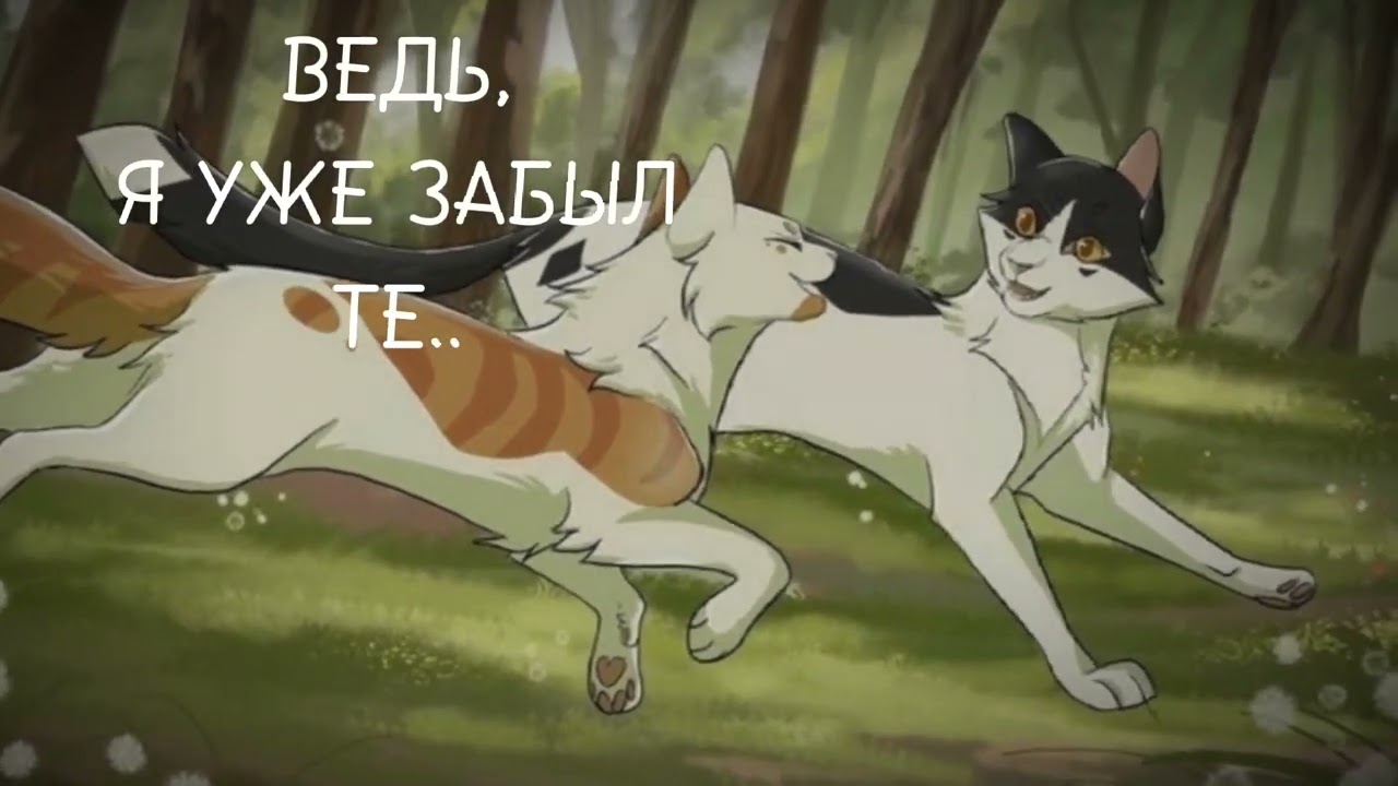 Яролика коты воители фото