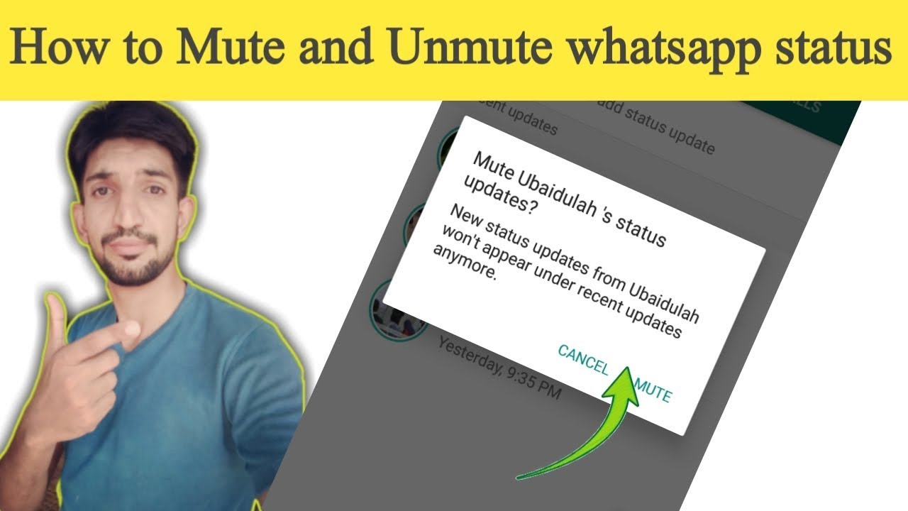 How To Mute And Unmute Whatsapp Status - YouTube