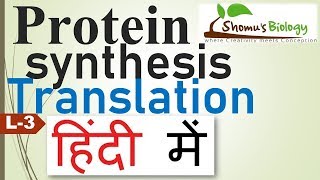 Translation in Hindi (Protein synthesis in Hindi)