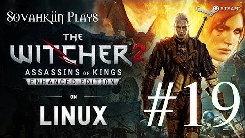 Sovahkiin Plays on Linux: Witcher 2 - Episode 19