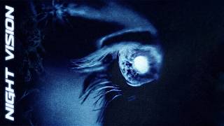 KX CHR & Wolverave - NIGHT VISION