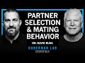 Thumbnail for Essentials: How Humans Select & Keep Romantic Partners in the Short & Long Term | Dr. David Buss