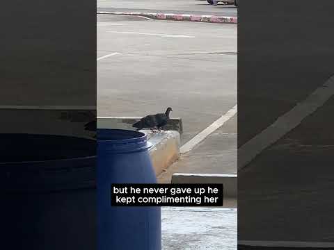 Best Love Story Ever