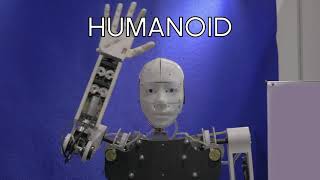 Humanoid (extract)