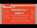 SEMANA 12 | PROYECTO 1 | SEGUNDA PARTE