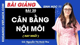 Bài 20. Cân bằng nội môi – Củng cố kiến thức