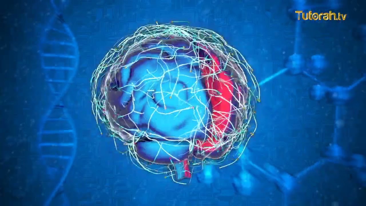 Rabino Amram Anidjar - El secreto de Ana Bejoj