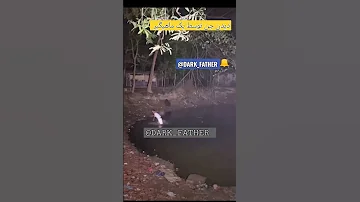 دیدن جن به طور واضح توسط یک ماهیگیر نظر شما فیک واقعی جن آخرالزمان ترسناک روح ترس ماورا 
