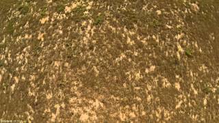 Fun Fly with the ImmersionRC Vortex 06-30-15