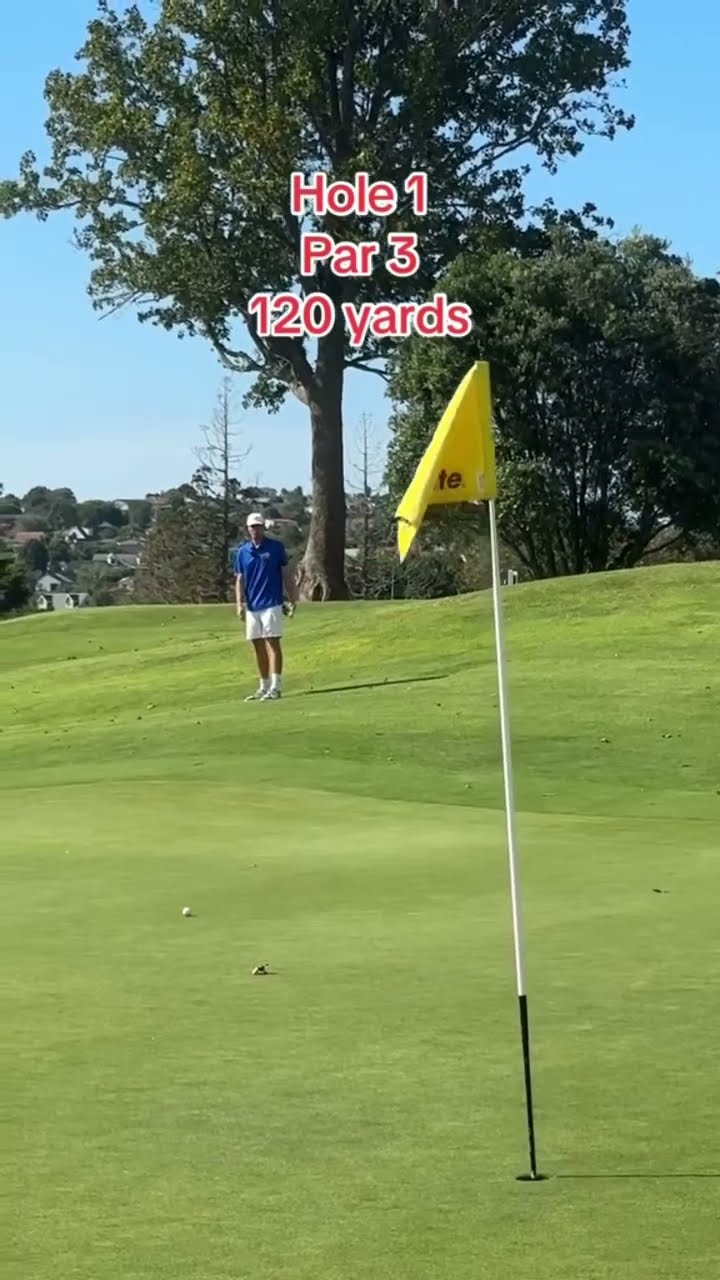 Day 358: Playing GOLF EVERYDAY until I make 18 pars in a row