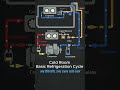 Inside every cold room… a powerful refrigeration cycle is working 24/7  ⚡ #coldstorage #askyoutube