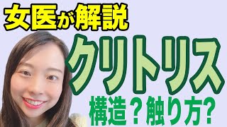 【女医が解説】クリトリスってどういう構造？皮って？どうやって扱うの？【産婦人科】