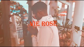 Cal'B_-_Vie rosé 🌹 (Visualizer)