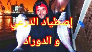 إصطياد الدرعي(القاروص) و الدوراد(الدنيس) Pêche dorade et loup bar