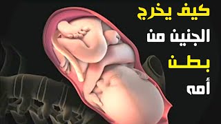 كيف يخرج الجنين من بطن أمه ..!! مراحل الولادة الطبيعية