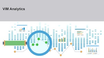 Analyzing invoices transactions and process flow in VIM : 2. Vim Analytics
