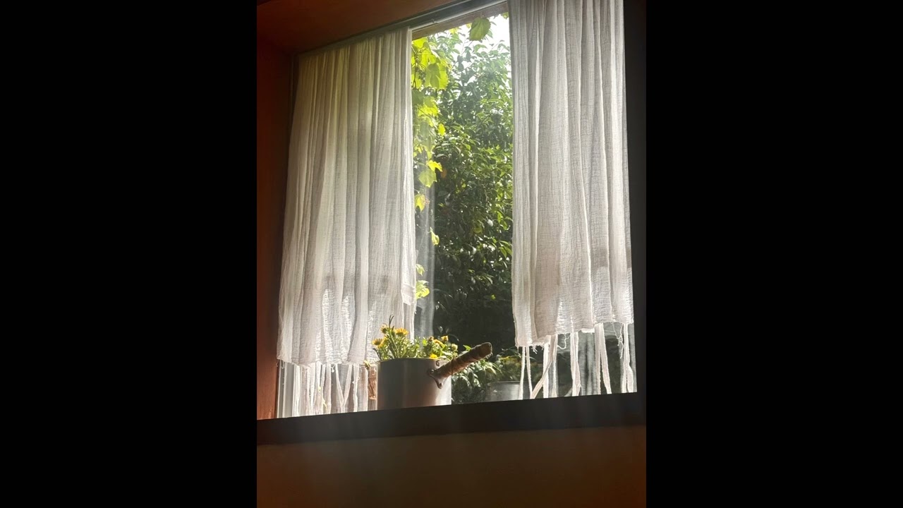 [playlist] 당떨어질때 달달한팝송노래모음 달달치사량 충전 100% 양치잘하라구