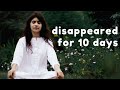 Vipassana meditation  10 days off the grid  my experience  dhamma thali jaipur