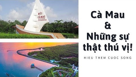 Cà Mau & Những Sự Thật Thú Vị! | Hiểu Thêm Cuộc Sống.