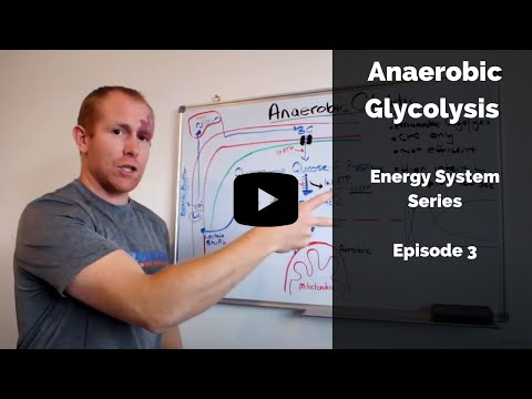 Anaerobic glycolysis