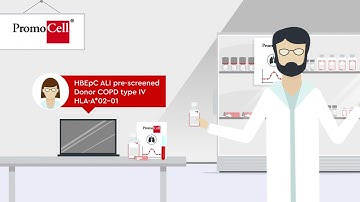 How to achieve a reliable Air-Liquid Interface (ALI) Culture