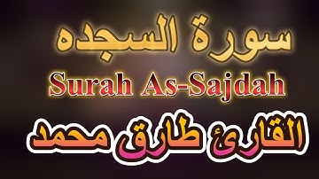 تلاوه رائعة || سورة السجدة (كاملة) || طارق محمد