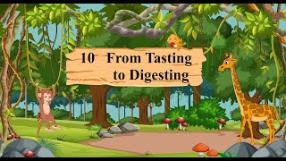 Environmental Trail Book 5 Chapter 10 - From Tasting To Digesting