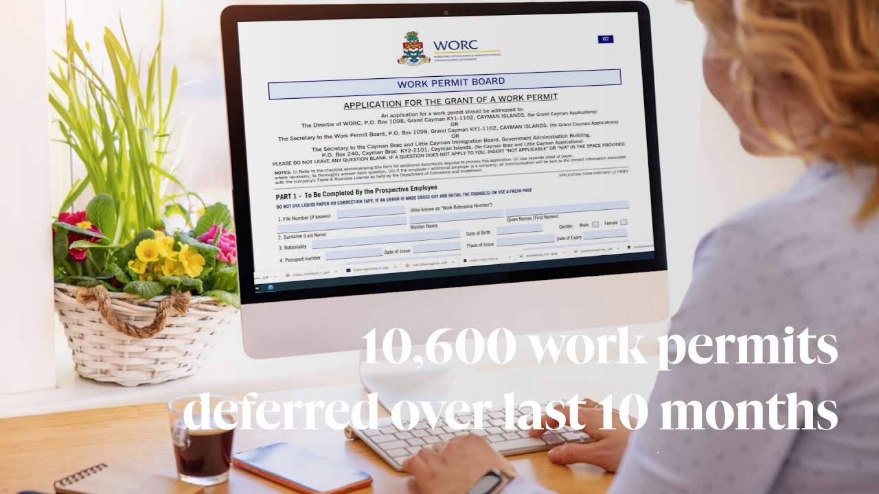 10,600 work permits deferred over last 10 months - YouTube