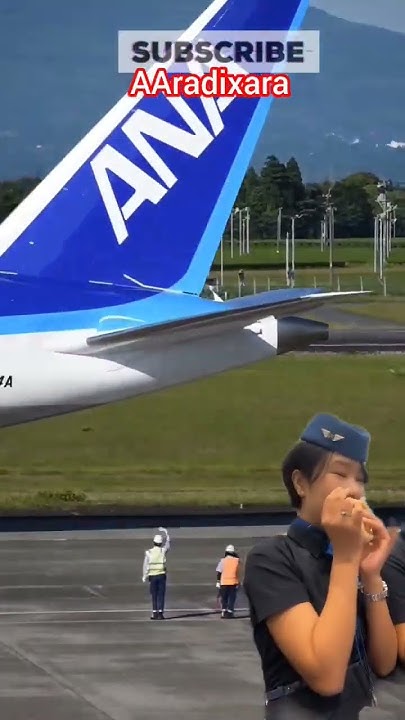 commercial All Nippon Airways (ANA) plane and beautiful Indian flight