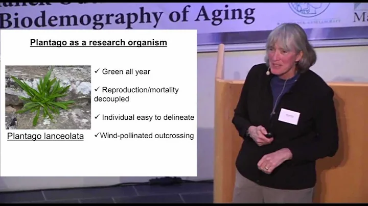Prof. Dr. Deborah Roach: Cumulative Damage Causes ...
