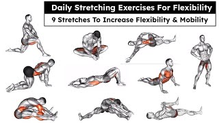 Daily Stretching Exercises for Flexibility | 9 Stretches To Increase Flexibility & Mobility