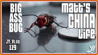 Big ASS BUG | MATT'S CHINA LIFE