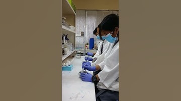 DNA Extraction with a beat 😂🌱 #agriculture #extraction #laboratory #dna #plants #plantbreeders