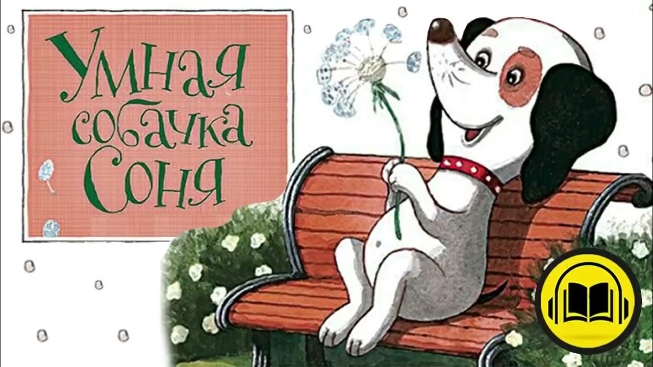 Слушать сказку про умную соню. Слушать сказку про умную соню
