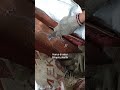 retur lg , spek bc berlapis plastik... #rosoklogam #fypシ゚viral #drivertruk #shortvideo