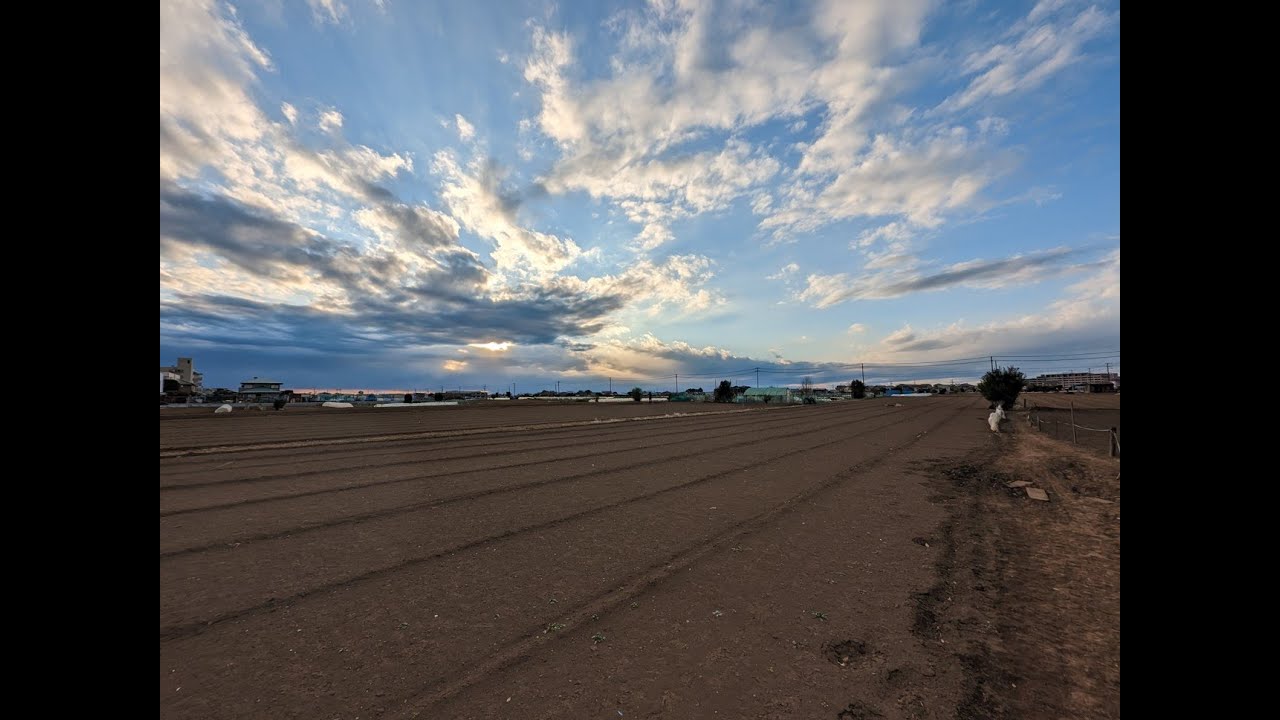 習志野市鷺沼地区　第二の奏の杜へ　現地周辺レポート