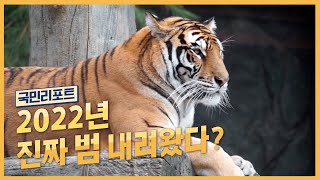 2022년 신성·용맹의 상징 '호랑이의 해' 밝았다! [국민리포트]