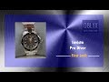 Invicta Pro Diver First Look with Sizing